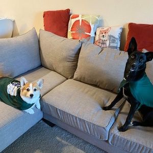 Meet your Posher, Adam